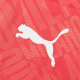 Puma Ac Milan