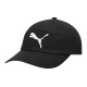PUMA Logo