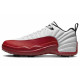 Jordan Air Jordan 12 Low Golf