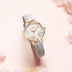 Disney SM-17009A