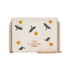 COACH Chain 10