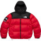 Supreme x THE NORTH FACE FW24 WEEK9 logo