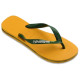 Havaianas Brazil Logo