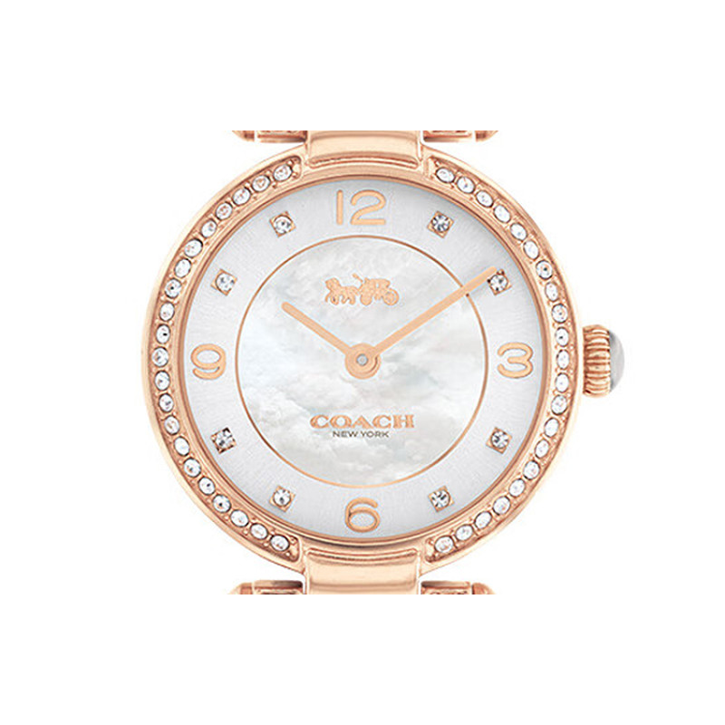 COACHCARY 26mm 30 14503838-1