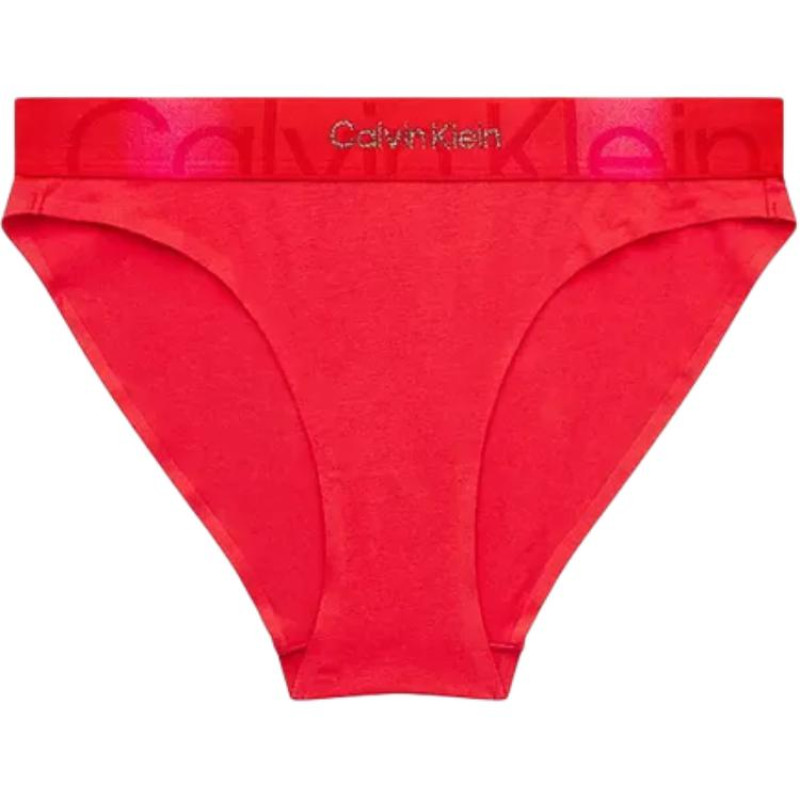 CKCalvin Klein BIKINI 1