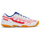 Mizuno Gate Sky Plus2