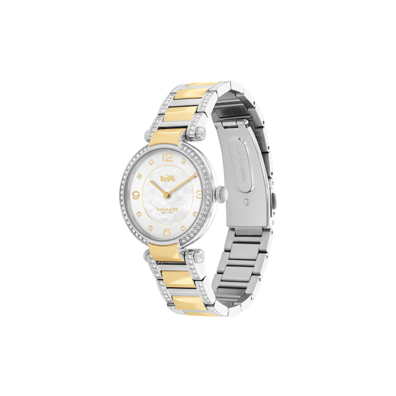 COACHCARY 34mm 30 14503833