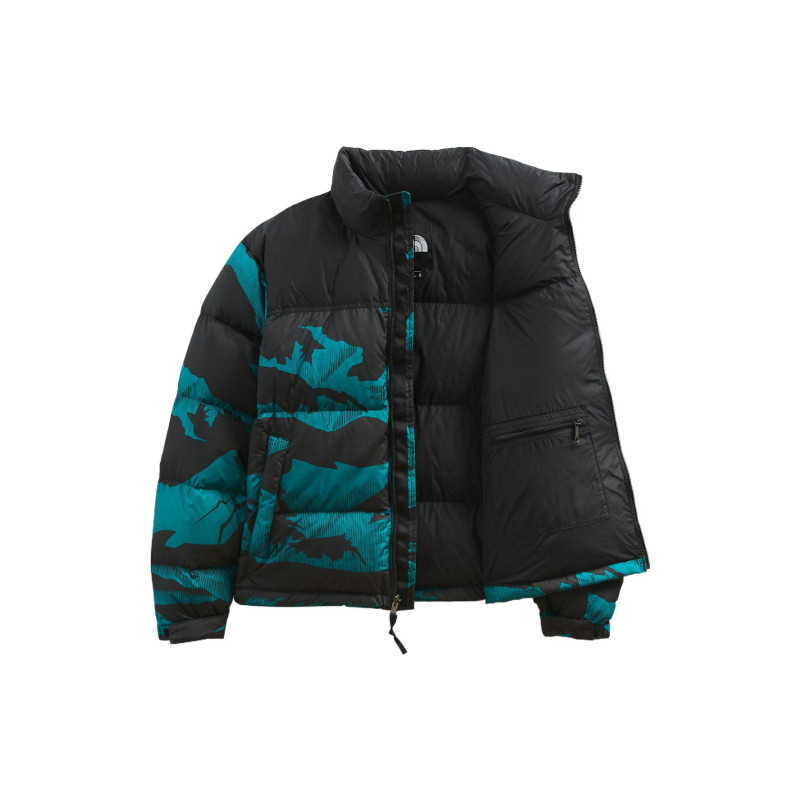 THE NORTH FACE FW22 1996 Retro Nuptse Jacket 700 Icon