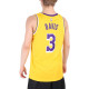 Nike NBA SW 20 3