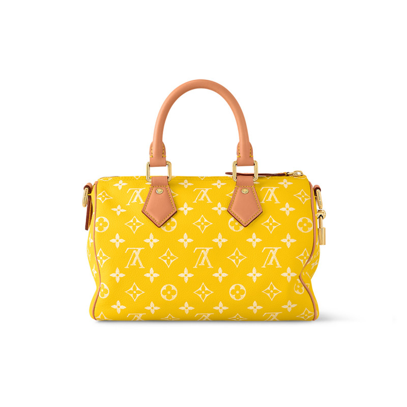 LOUIS VUITTON Speedy 25