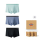 Dickies LOGO 3
