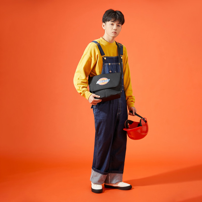 Dickies 100
