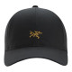Arcteryx Logo
