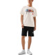 THE NORTH FACE 23SS Logo