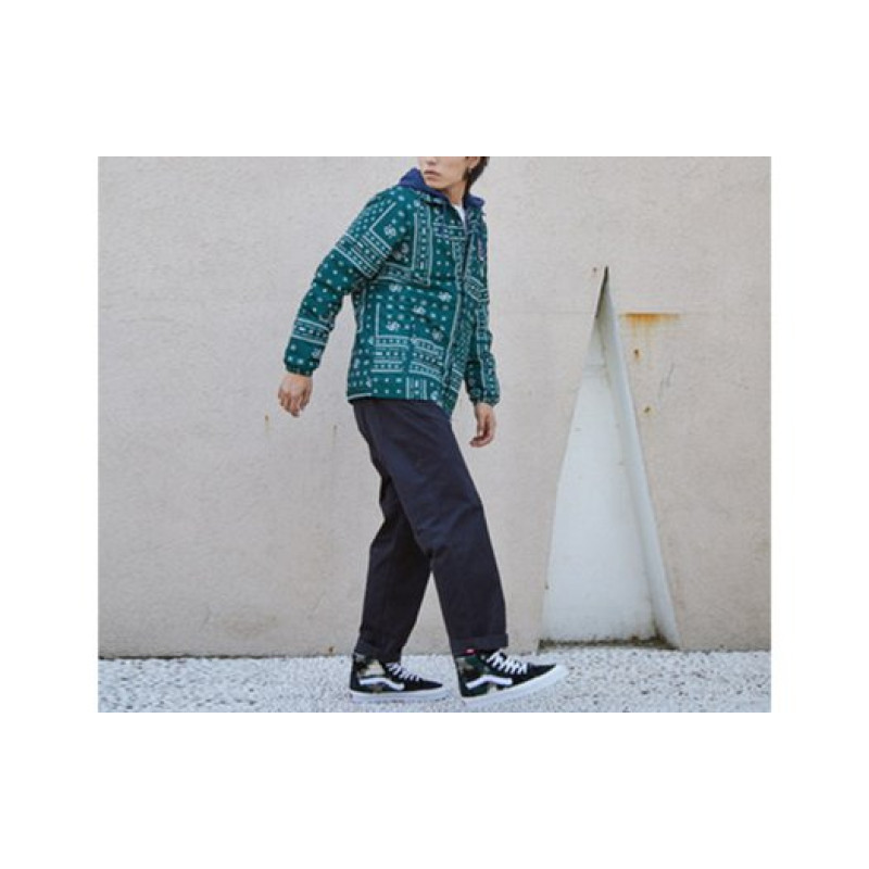 Vans SK8
