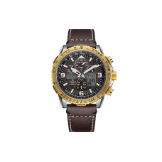 CITIZEN 200 45mm JY8084-17H