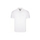 Burberry TBLogoPolo 8014005