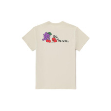 Vans T
