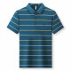 PIERRE CARDIN Polo