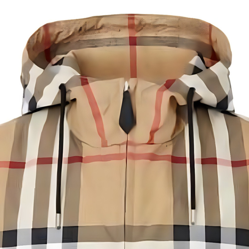 Burberry Logo