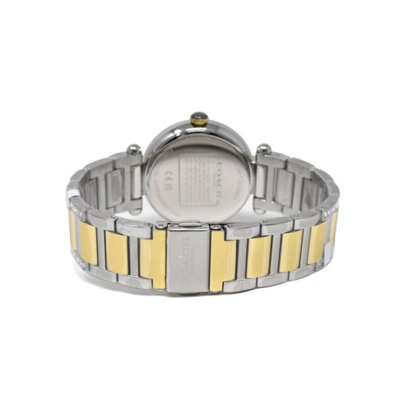 COACHCARY 34mm 30 14503833