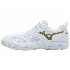 Mizuno