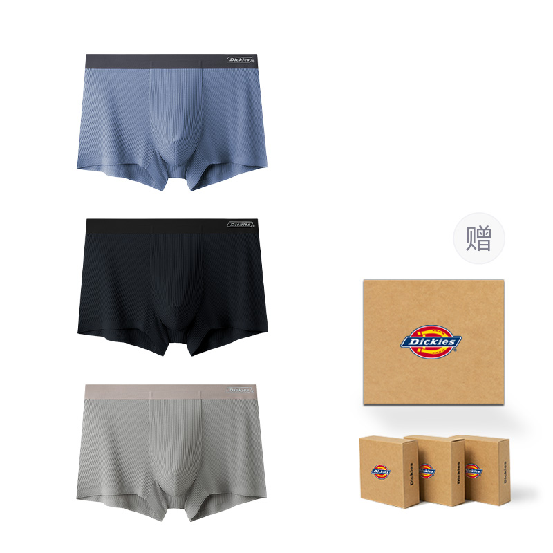 Dickies LOGO 3