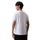 CKCalvin Klein T