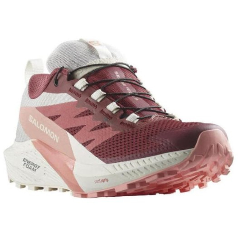 SALOMON Sense Ride 5 GTX