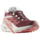 SALOMON Sense Ride 5 GTX