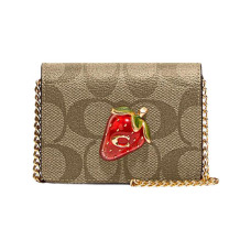 COACH Chain 10
