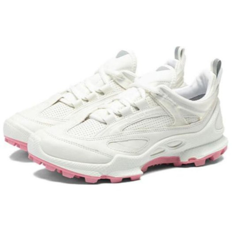ecco Biom C Trail