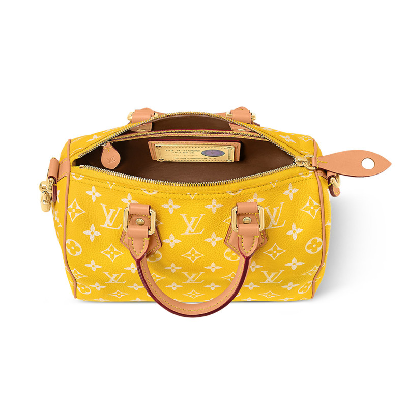 LOUIS VUITTON Speedy 25
