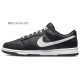 Nike Dunk Low retro hr 
