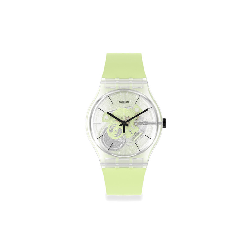 SWATCH SO29K106