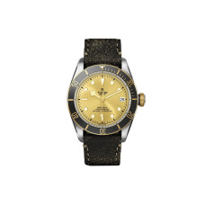 TUDOR 41mm M79733N-0003