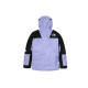 THE NORTH FACE 1994 Retro Mountain Futurelight