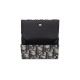 DIOR Oblique
