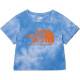 THE NORTH FACE LogoT