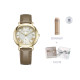 CITIZEN xc 50 33mm EO1203-03A