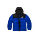 THE NORTH FACE 1992 30 Logo