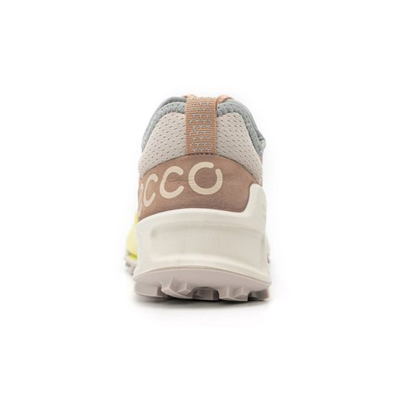 ecco 2.1