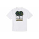 Converse T