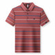 PIERRE CARDIN Polo