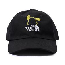 THE NORTH FACE Logo