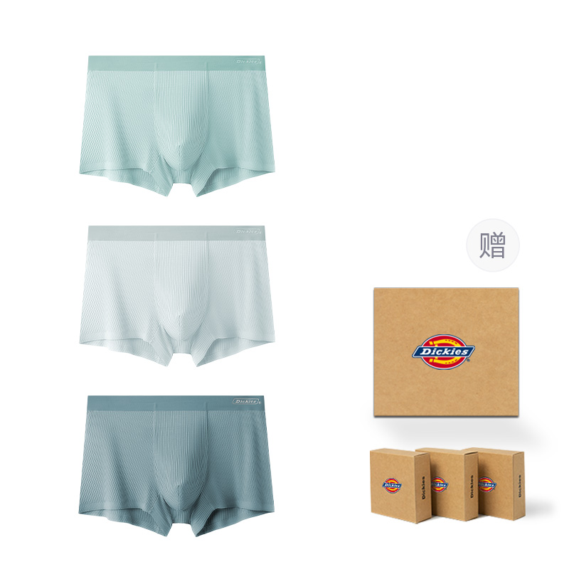 Dickies LOGO 3