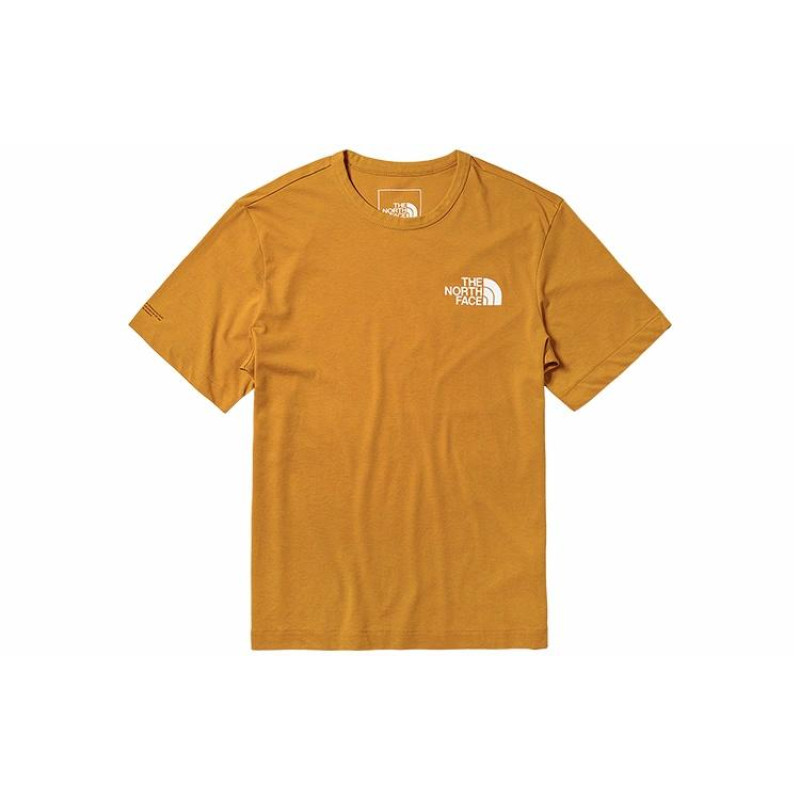 THE NORTH FACE logoT