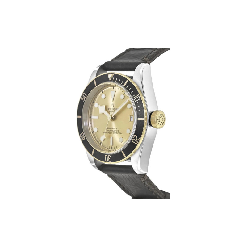TUDOR 41mm M79733N-0003