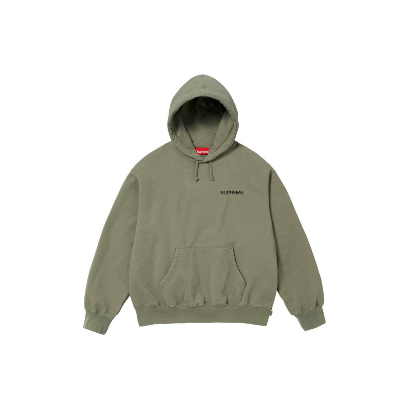 Supreme SS24 WEEK8 IMMORTAL HOODED SWEATSHIRT