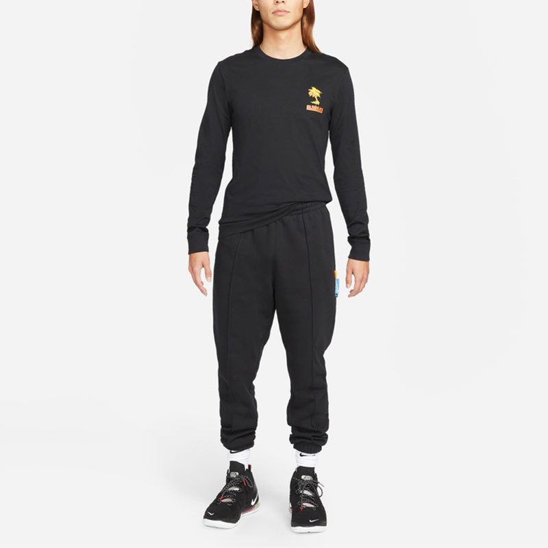 Nike Lebron Sfg T